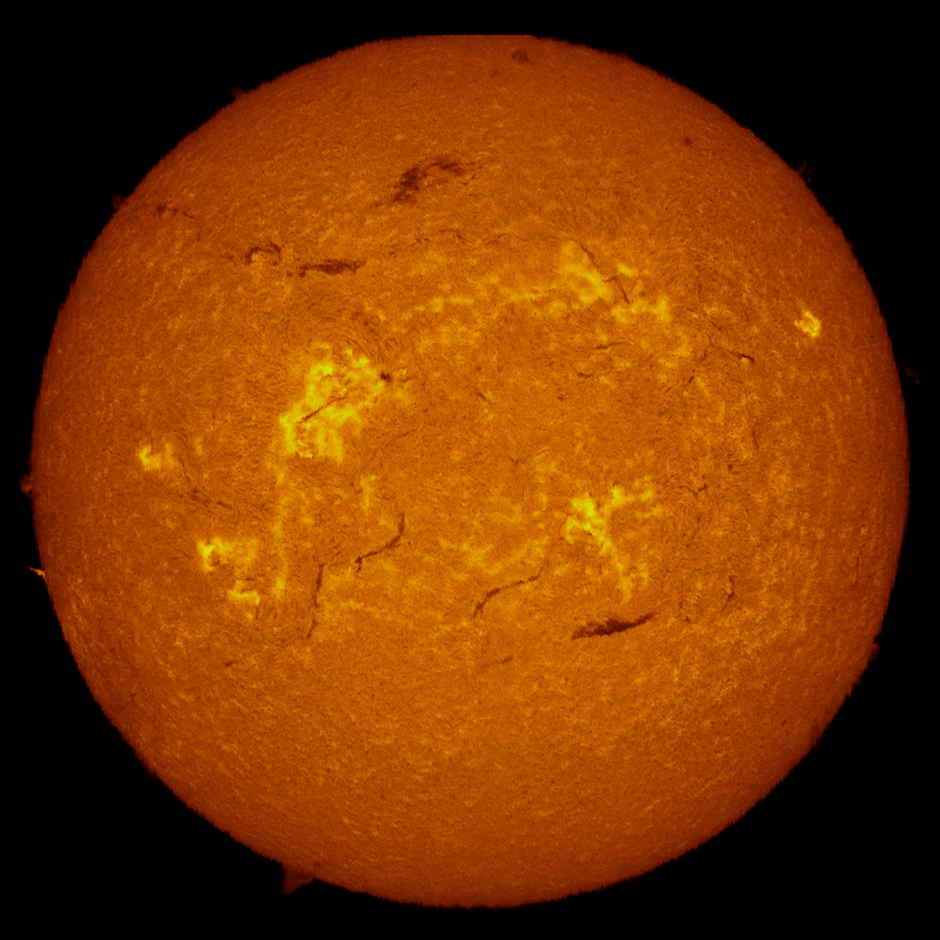 Disque solaire observé en H-alpha